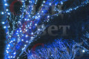 Гирлянда светодиодная для деревьев "Клип-лайт" 100м Синяя. Нить белая