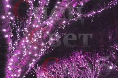 Гирлянда светодиодная для деревьев "Клип-лайт" 100м Фиолетовая. Нить белая