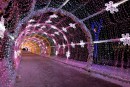 Светодиодная арка "Тоннель световой" 3м х 18м. Розовый