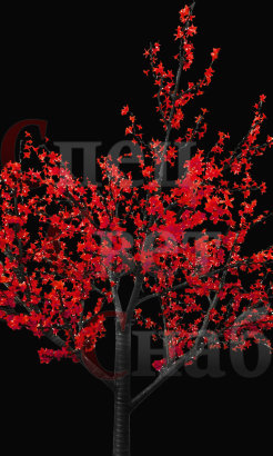 Светодиодное дерево Яблоня. Красная. 2,5 м