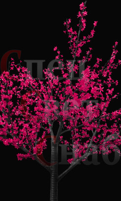 Светодиодное дерево Сакура. Розовая. 2,5 м 