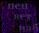 Гирлянда "занавес" 2 x 3 м Фиолетовый СПП-система последовательного подключения