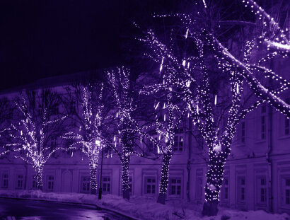 Гирлянда на деревья "Спайдер 6х20м" Фиолетовый. Постоянное свечение