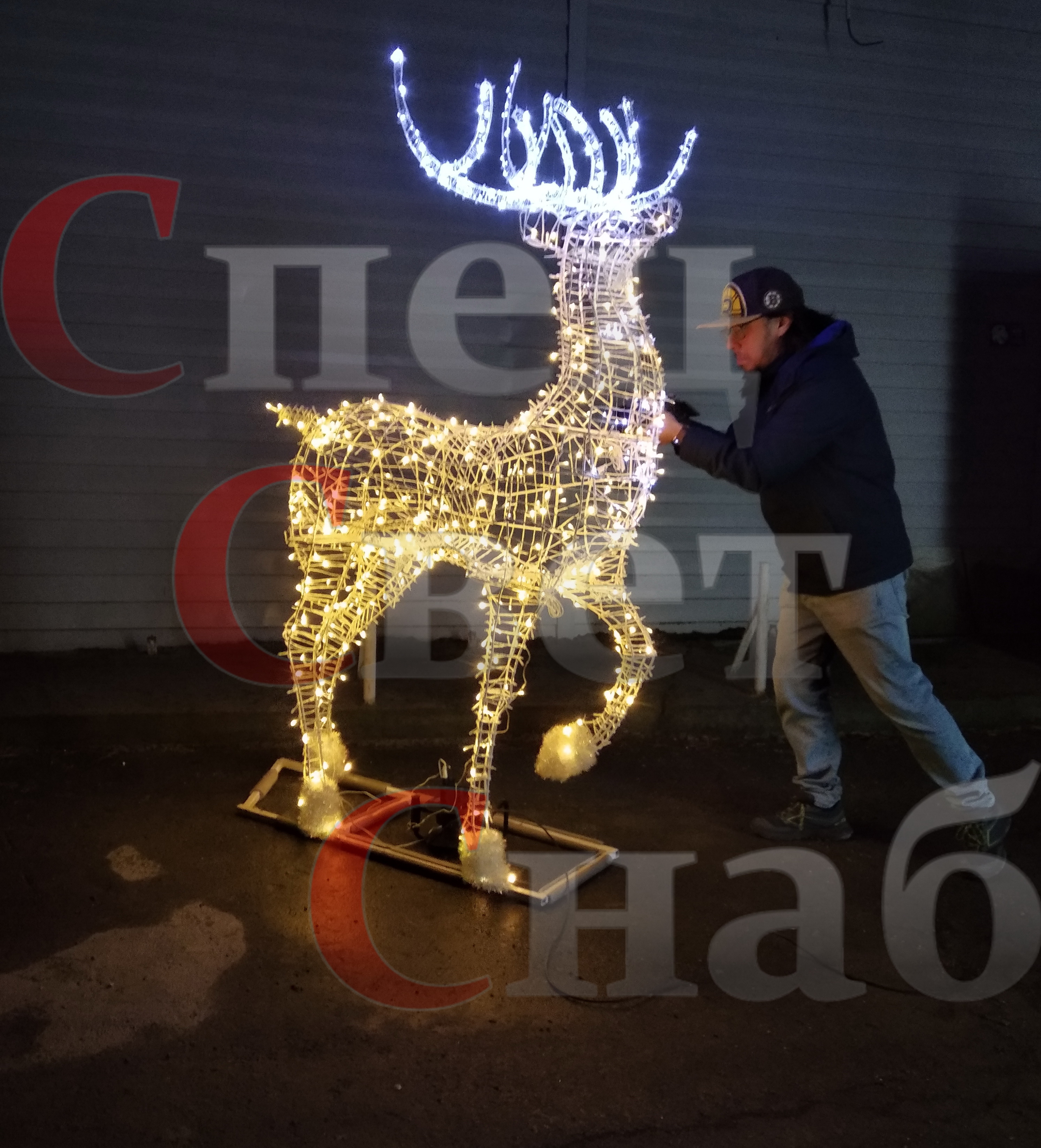 Олени