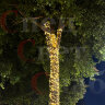 Уличная гирлянда 60м 600LED теплобелая