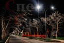 Светодиодное уличное ограждение "Звездные нити" красные