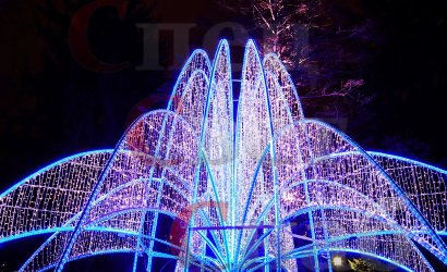 Светодиодный фонтан для парка белый 5 x 8 м