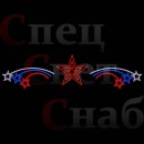 Перетяжка светодиодная уличная "Звезда России" триумф