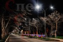 Ограждение "Занавес со звездами" 4 х 0,8 м Триколор золотистый